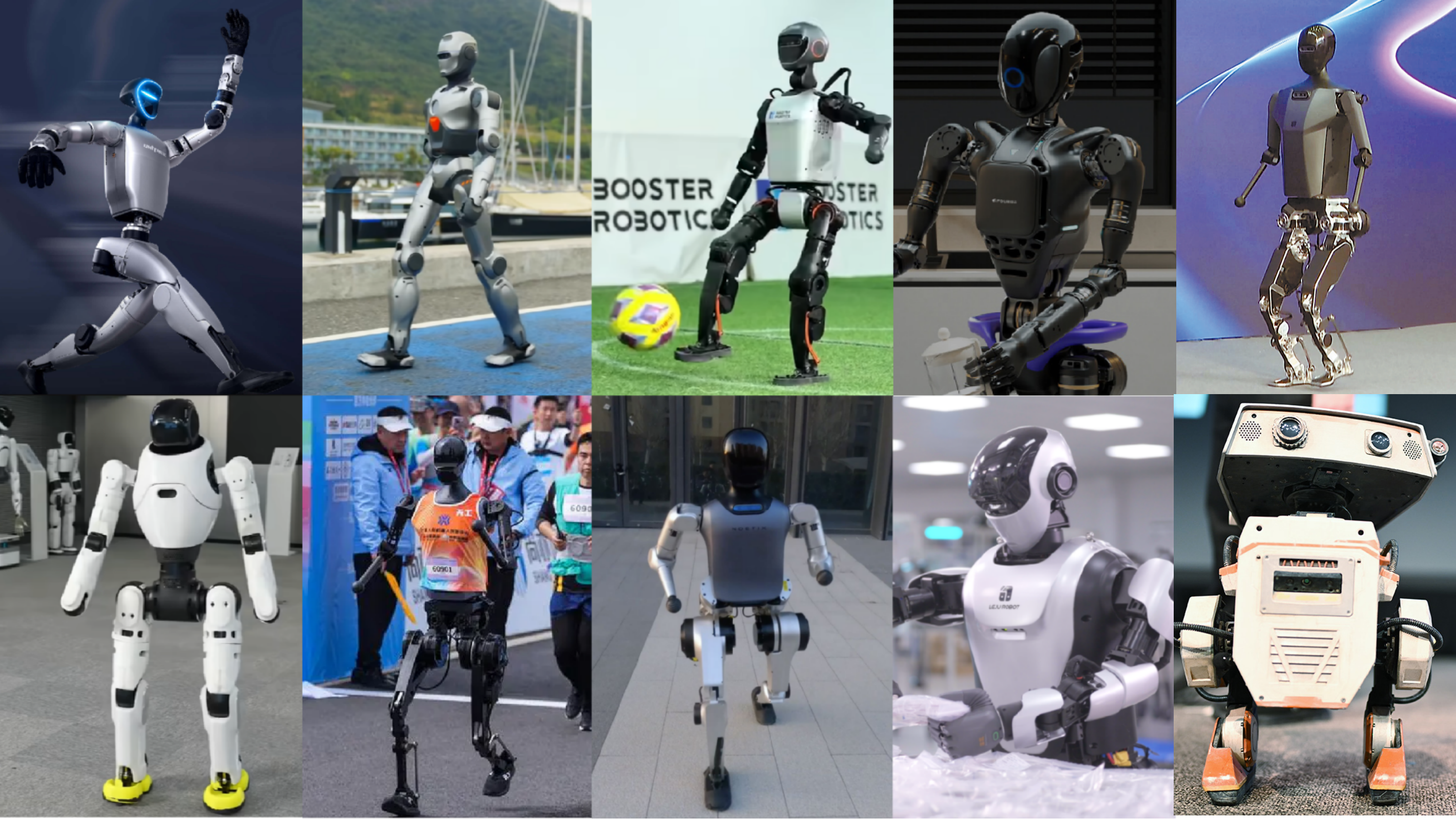 robots_rl