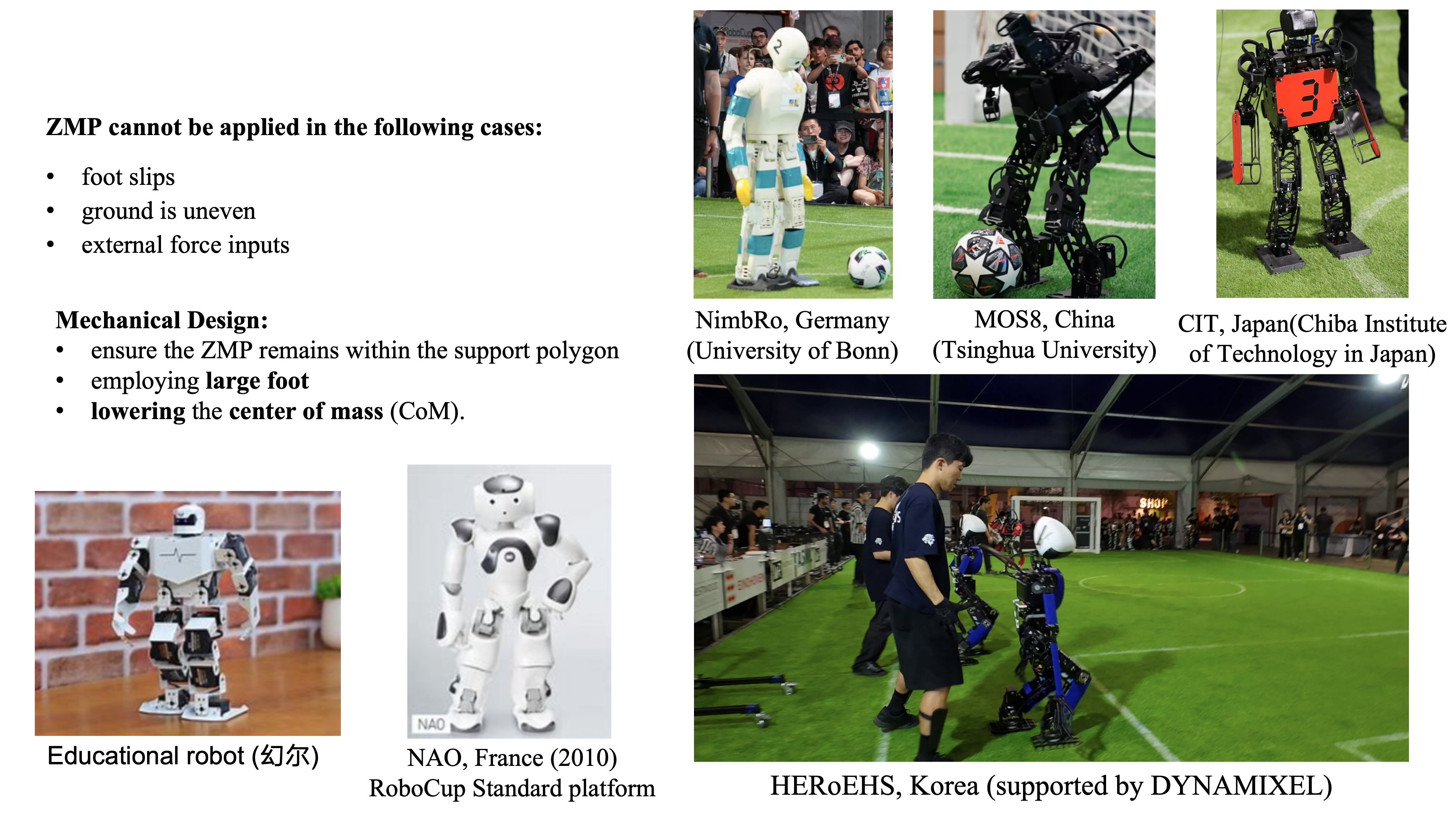 zmp_robot