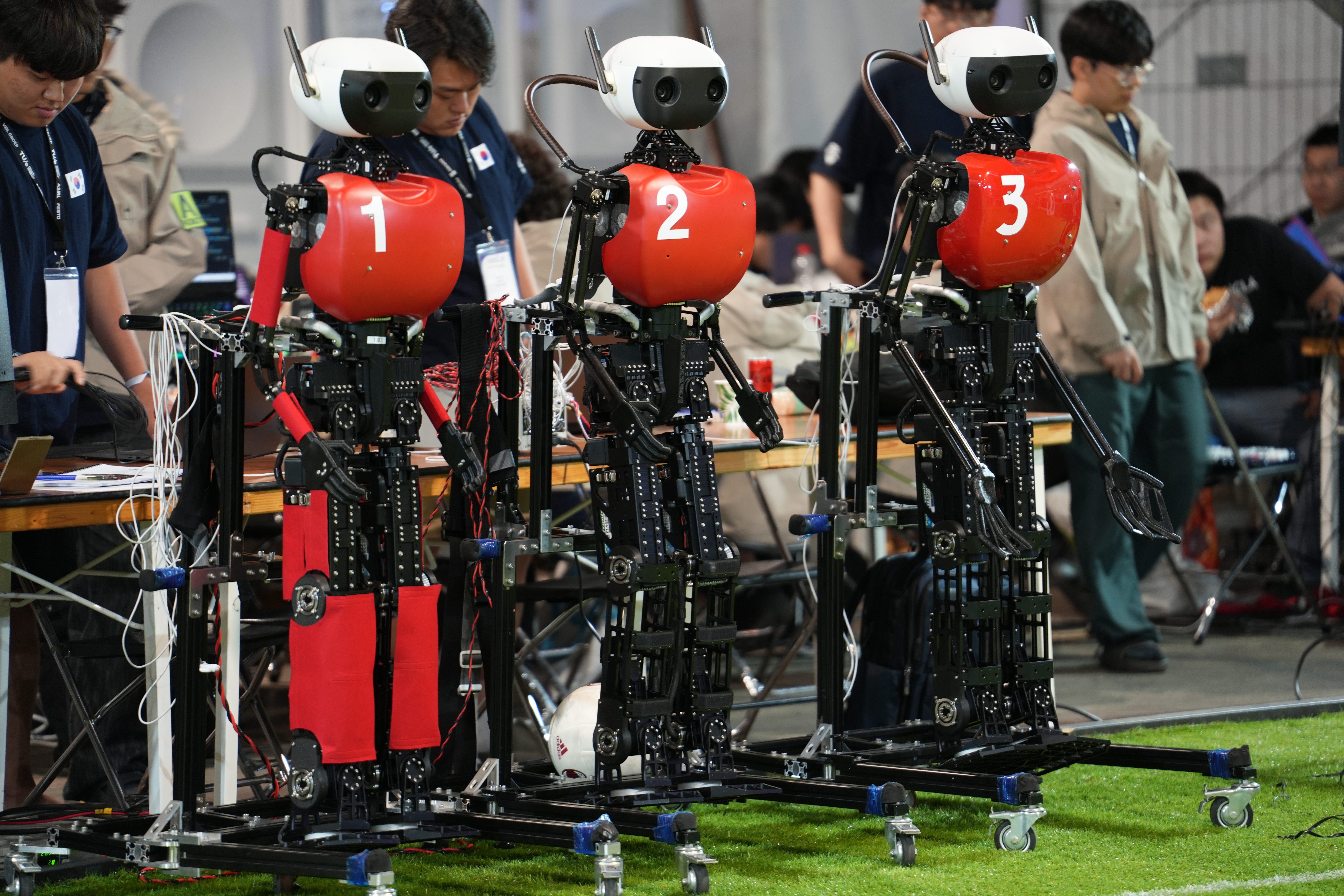 Korean Adult Team